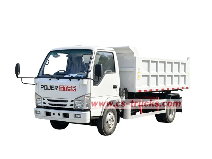 Philippines ISUZU 3tons dump truck for sale