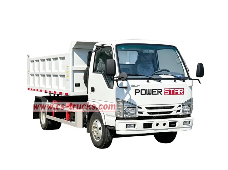 Philippines ISUZU 3tons Tipper Lorry Garbage Truck